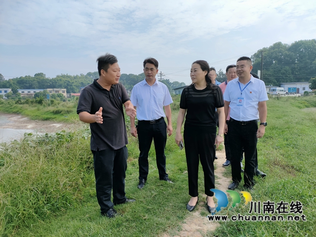 合江县组织统战成员开展乡村振兴专题调研