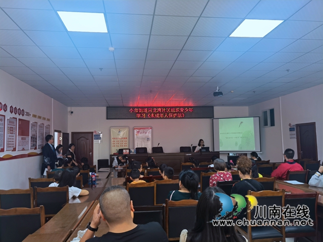 龙马潭区小市街道回龙湾社区组织青少年学习《未成年保护法》