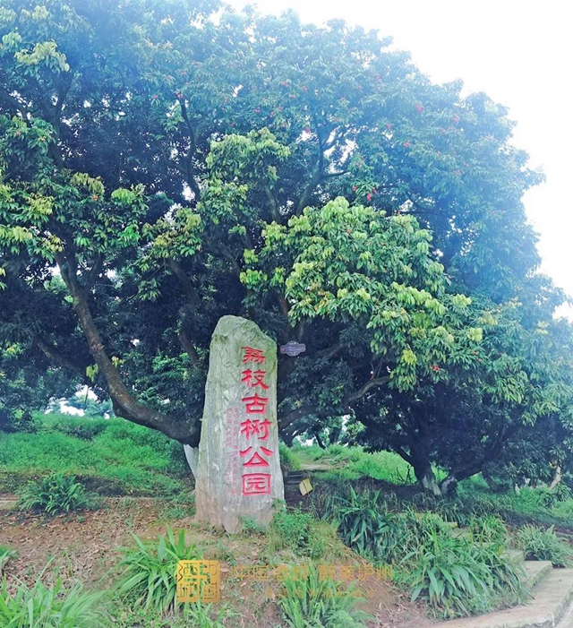 四川公布拟通报表扬名单！泸州这些魅力乡镇、乡土文化能人上榜(图9)