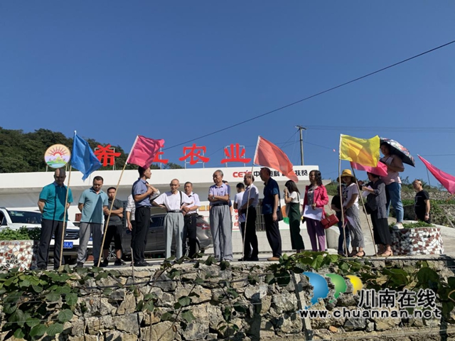 开展猕猴桃产业调研，叙永县“五老”为乡村振兴建言献策