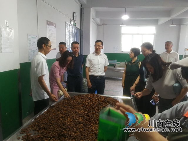 江阳区扎实抓好现代医药产业生态链建设(图2)