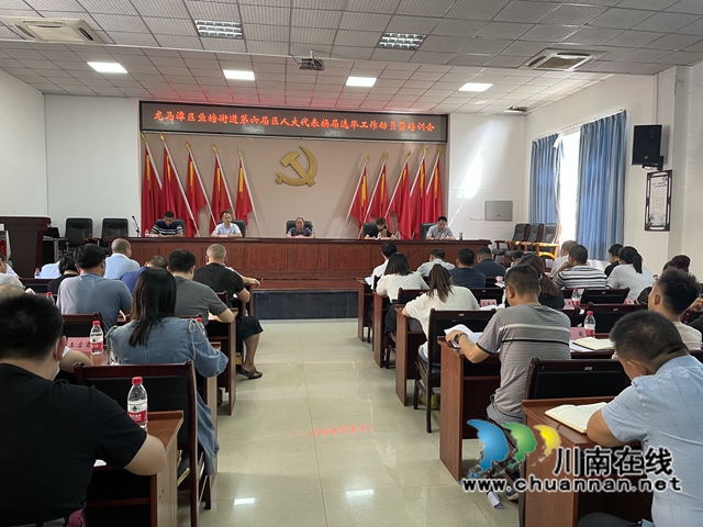 龙马潭区鱼塘街道召开第六届龙马潭区人大代表换届选举工作动员暨培训会
