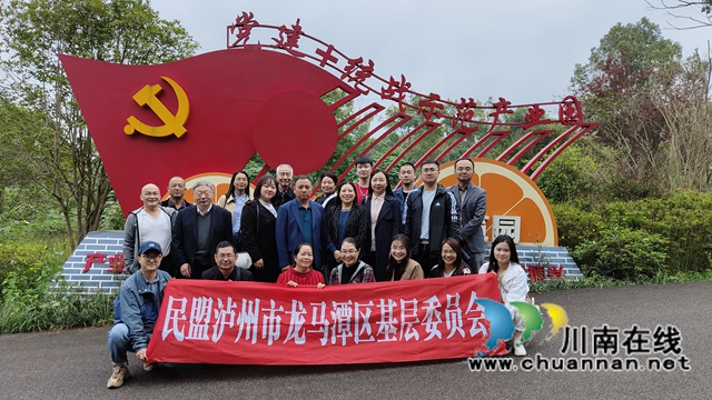 民盟泸州龙马潭区基层委员会：走进乡村看振兴(图2)