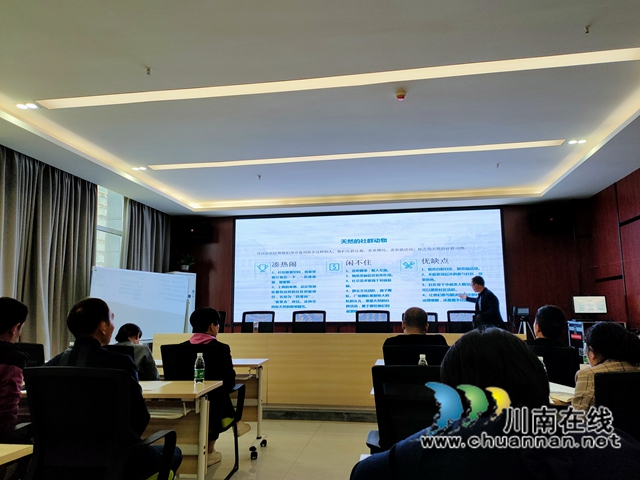 龙马潭区鱼塘街道望山坪社区举办“如何让社区动起来”社区治理培训会