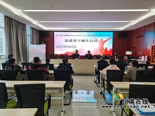 龙马潭区鱼塘街道望山坪社区召开“社区服务项目化”院落骨干碰头会议