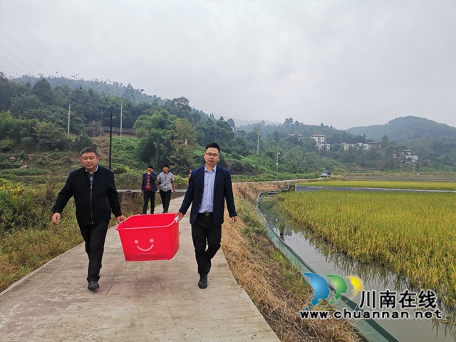 泸县：稻熟蟹肥人欢笑(图2)