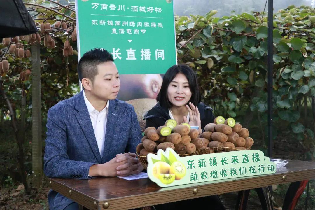 大山里搭起“直播间” ！古蔺东新万亩猕猴桃乘上直播快车(图2)