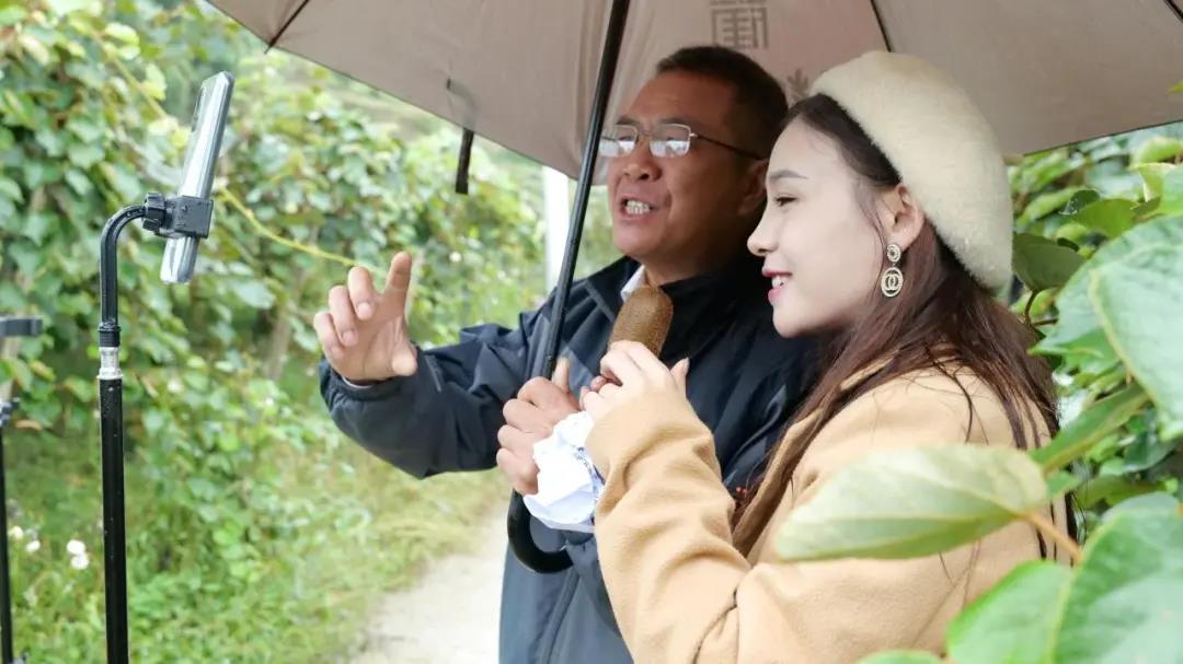 大山里搭起“直播间” ！古蔺东新万亩猕猴桃乘上直播快车(图6)
