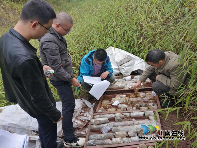 泸县地质灾害风险调查评价野外工作顺利通过专家组验收