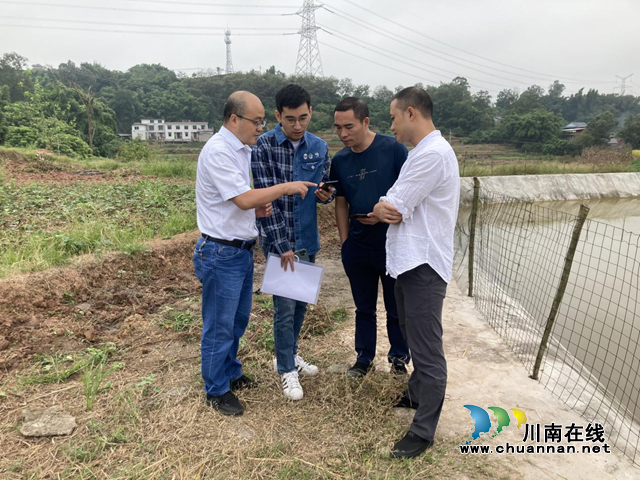 泸县自然资源和规划局完成耕地卫片监督图斑核查工作