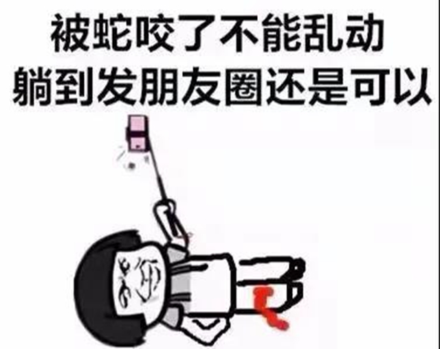毒蛇还不冬眠？泸州4岁男孩被咬伤入院……(图10)