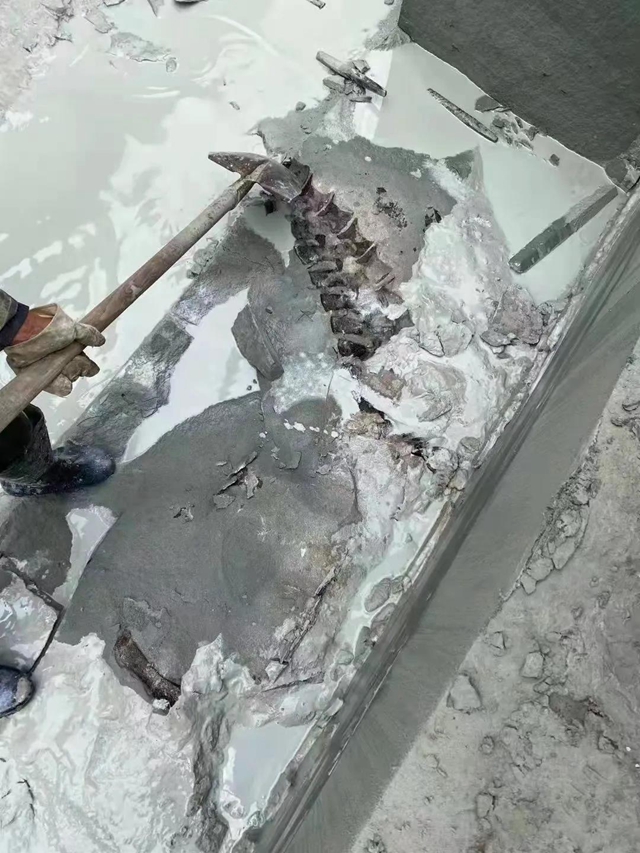 恐龙？还是……隆昌这里一工地挖出巨型骨骼化石(图1)