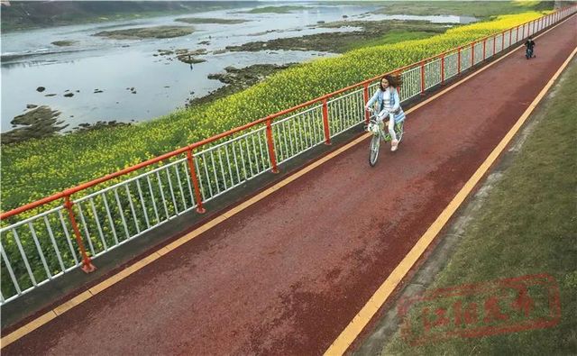 江阳区沱江旅游道路入选四川省“最美农村路” ，快来兜风！(图7)