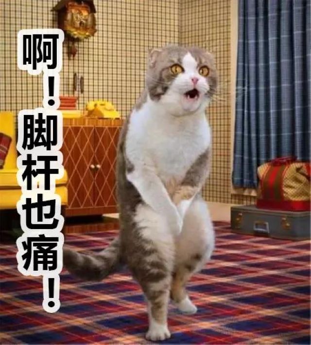 泸州市人医：一顿操作猛如虎，腰椎间盘不再苦(图1)