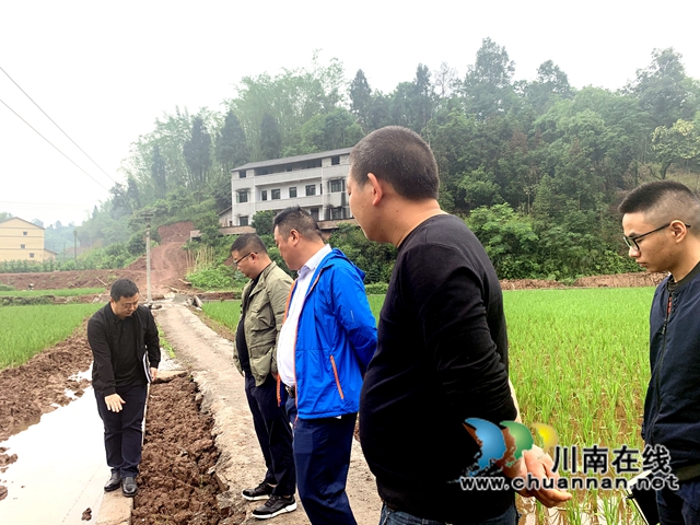 乡村振兴战略好，泸州民建“特聘村主任”来助力(图4)