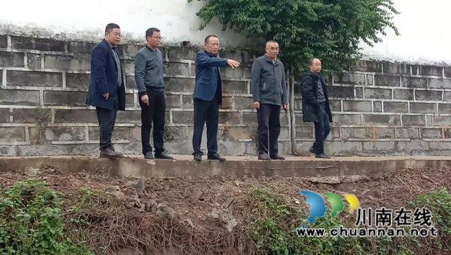 曾一洴到泸县百和镇督导河长制工作(图2)