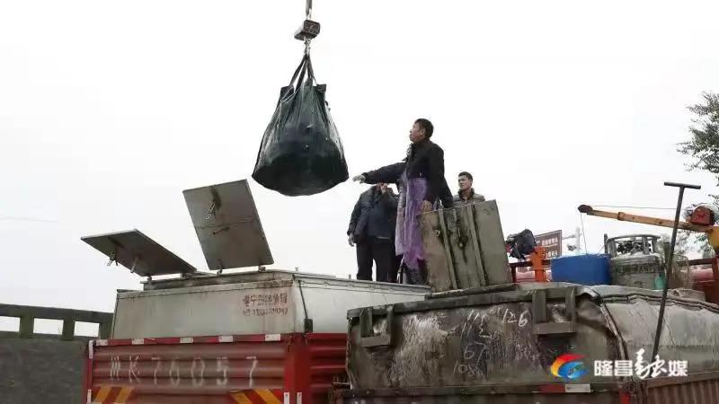 场面震撼！隆昌古宇湖大捕鱼、捕大鱼(图9)