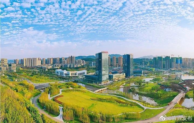 观竹景、赏竹文、品竹食……快来领略宜宾最美竹游风情！(图12)