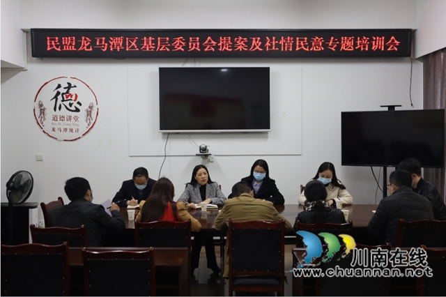 民盟泸州市龙马潭区基层委员会召开提案及社情民意专题培训会