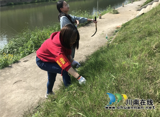 泸州盟员：开展河堤垃圾清理行动，打响环境保卫战