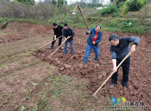 纳溪区东升街道：深入田间地头，走进群众心头