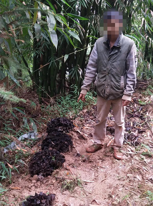 胆大包天!合江石龙镇一男子直播售卖国家二级保护植物,被网友举报……(图4) 胆大包天!合江石龙镇一男子直播售卖国家二级保护植物,被网友举报……(图4)