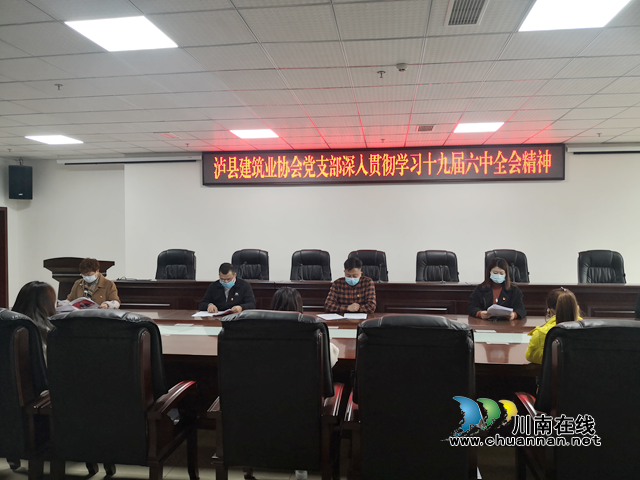 泸县建筑业协会党支部召开党的十九届六次全会精神专题学习会
