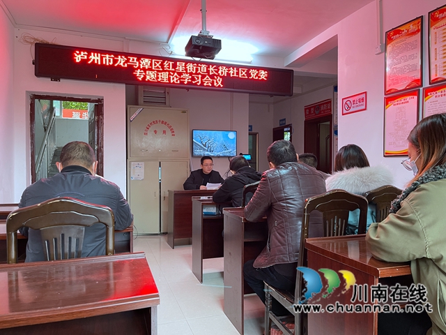 龙马潭区红星街道长桥社区召开党委理论学习专题会议