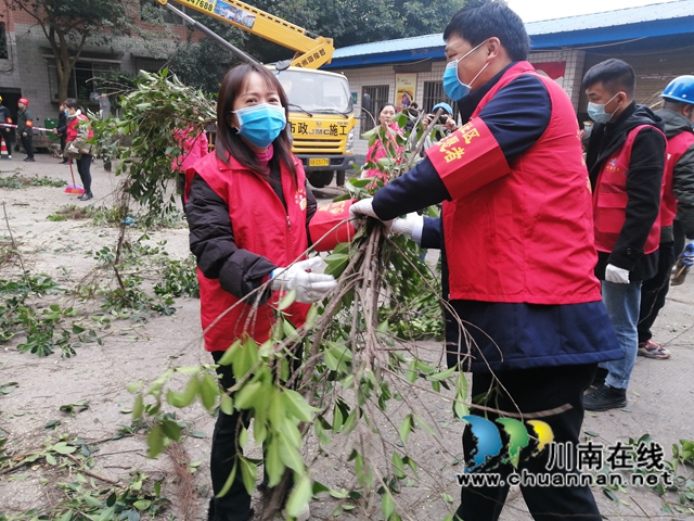 江阳区华阳街道：修叶剪枝去隐患，办好实事护民心