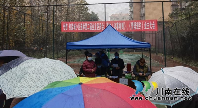 龙马潭区鱼塘街道：民主选举，选出美好生活