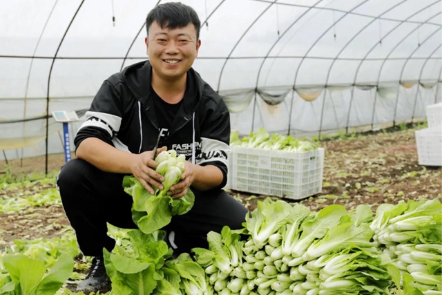 龙马潭：蔬菜吃紧？不！让你紧吃！(图3)