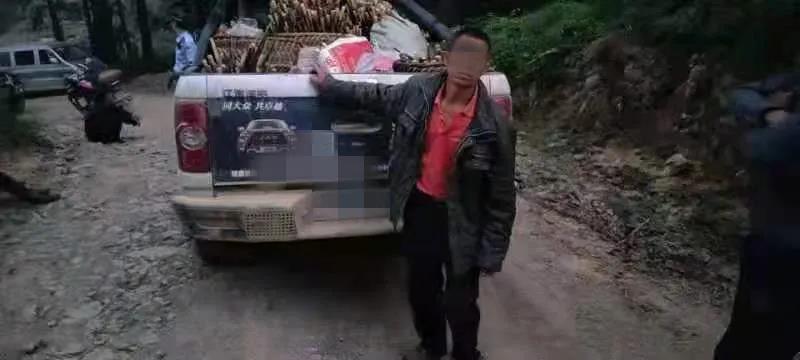 古蔺男子开皮卡车偷竹笋被逮个正着！(图2)