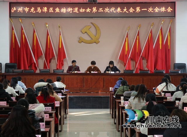 龙马潭区鱼塘街道妇女第二次代表大会召开