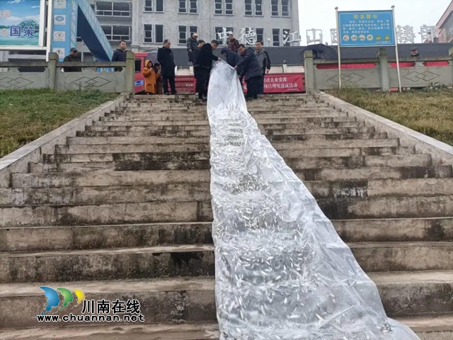 看过来，泸县增殖放流了各类鱼苗121万尾！
