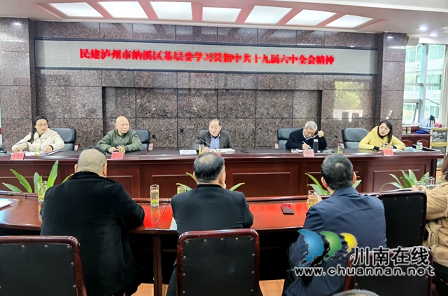 民建纳溪区基层委学习中共十九届六中全会精神