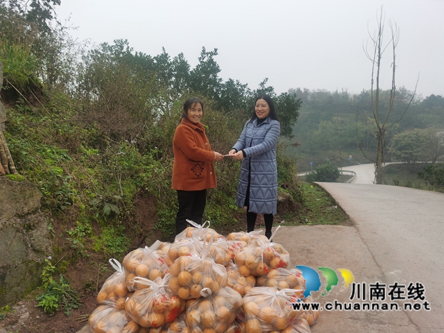 民盟泸州市龙马潭区基层委员会：消费扶贫助力乡村振兴