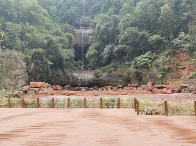 合江出现了一条超美的竹林风景线(图11)