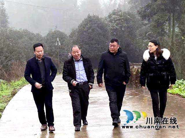 民建纳溪区基层委积极助力乡村振兴(图2)