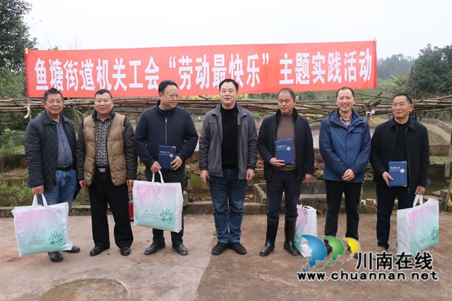 龙马潭区鱼塘街道：人生百态，劳动最美(图1)
