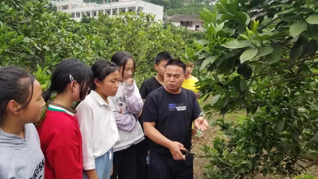 暖冬时节，这所学校师生邀您齐享良“橙”美景(图15)