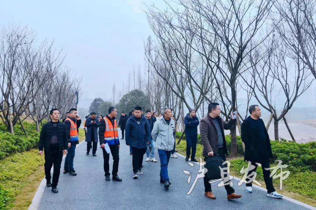 抢鲜看，泸县龙湖湿地公园最新进展来啦(图1)