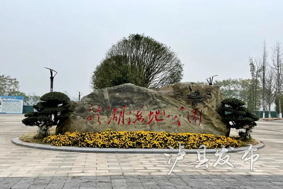 抢鲜看，泸县龙湖湿地公园最新进展来啦(图3)
