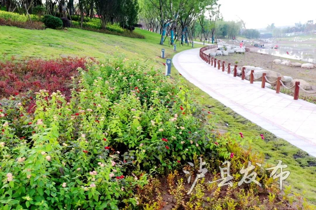 抢鲜看，泸县龙湖湿地公园最新进展来啦(图6)