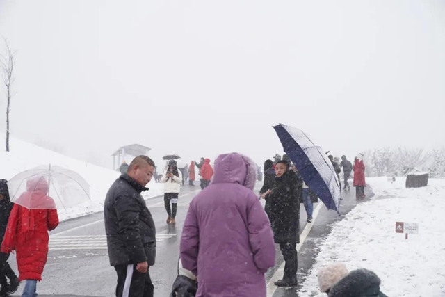 雪覆泸州之巅(图5)
