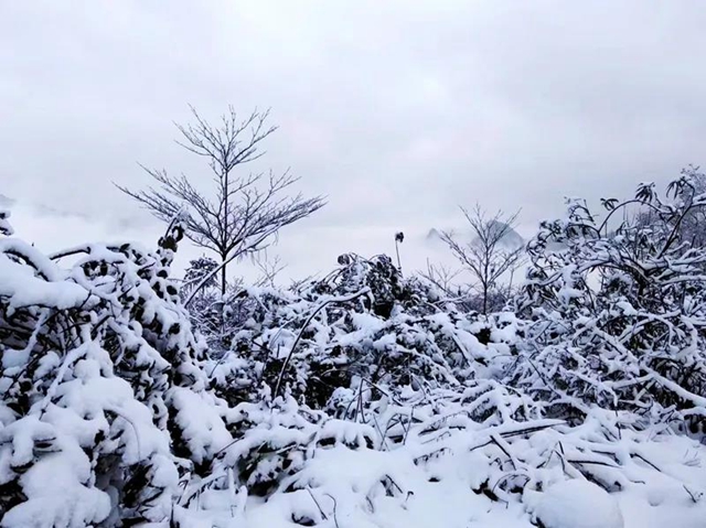 雪落叙永 山川增色！ 一起来云=͟͟͞͞赏=͟͟͞͞雪=！(图2)