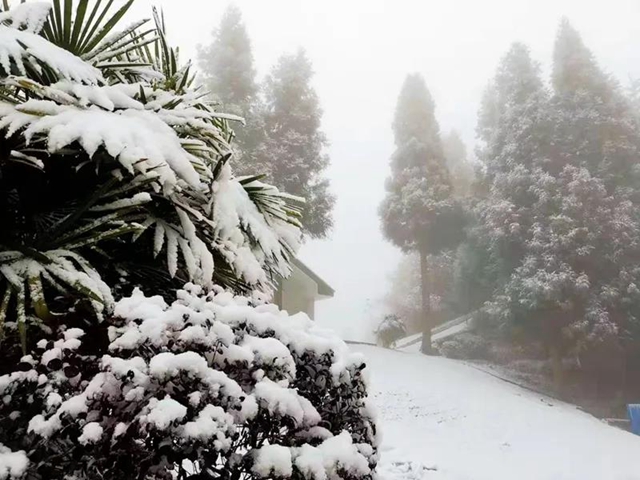 雪落叙永 山川增色！ 一起来云=͟͟͞͞赏=͟͟͞͞雪=！(图7)