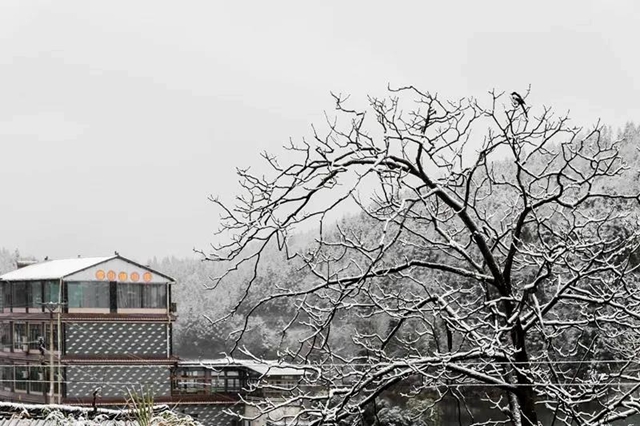 雪落叙永 山川增色！ 一起来云=͟͟͞͞赏=͟͟͞͞雪=！(图12)