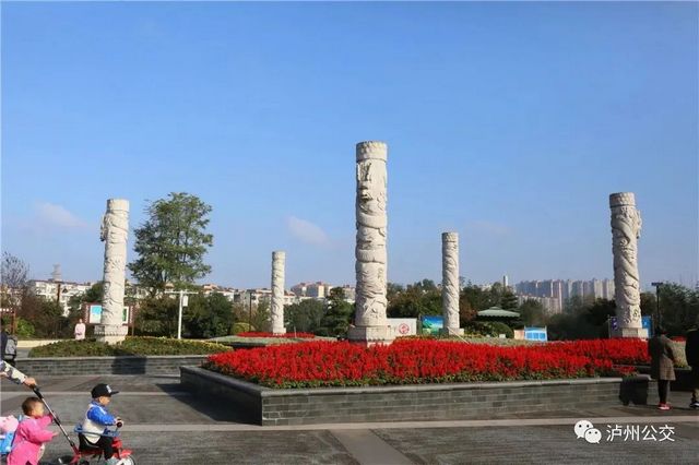泸州赏花地点大汇总!快搭乘“春天的公交”出发!(附详细乘车线路)(图6) nEO_IMG_6.jpg