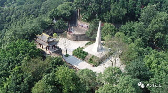 泸州赏花地点大汇总!快搭乘“春天的公交”出发!(附详细乘车线路)(图16) nEO_IMG_16.jpg