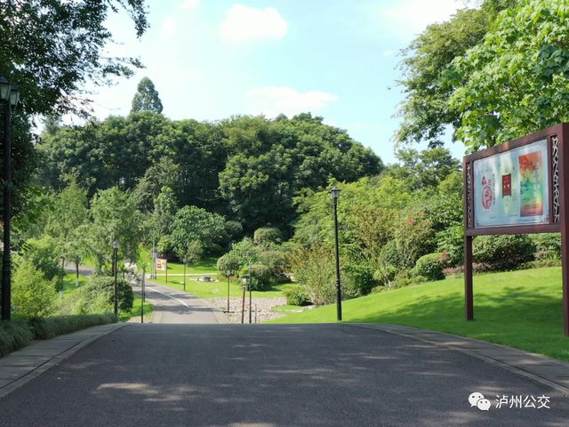 泸州赏花地点大汇总!快搭乘“春天的公交”出发!(附详细乘车线路)(图18) nEO_IMG_18.jpg